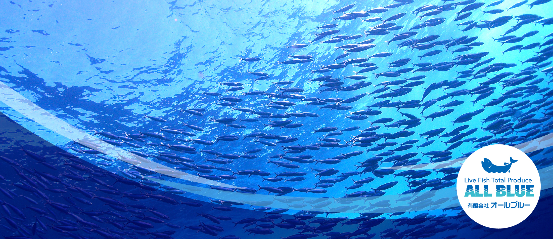活魚水槽の設計・施工・メンテナンス｜オールブルー
